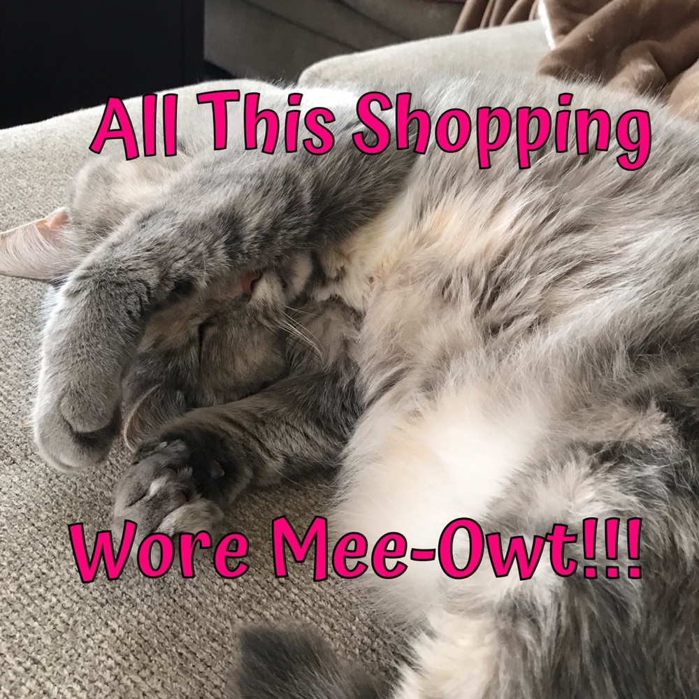 Sterling Mallory Archer—PoshyCat